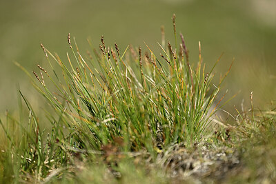 BUITEN BEELD Foto: 447168