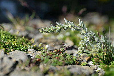 BUITEN BEELD Foto: 447173