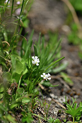 BUITEN BEELD Foto: 447174