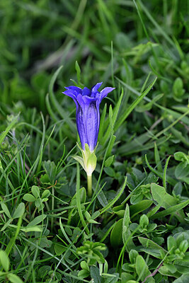 BUITEN BEELD Foto: 447192