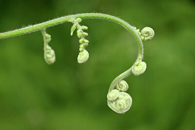BUITEN BEELD Foto: 447200