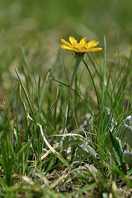 BUITEN BEELD Foto: 447204