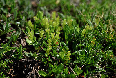 BUITEN BEELD Foto: 447249