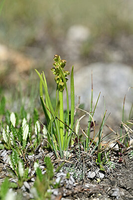 BUITEN BEELD Foto: 447271
