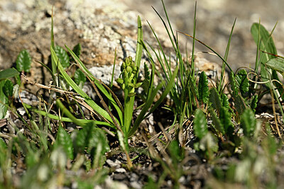 BUITEN BEELD Foto: 447273