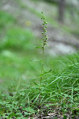 BUITEN BEELD Foto: 447282
