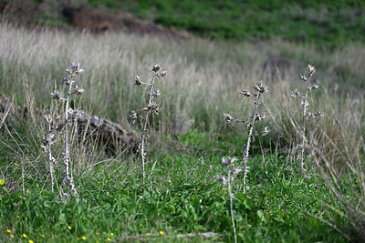 BUITEN BEELD Foto: 447289