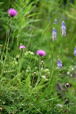BUITEN BEELD Foto: 447292