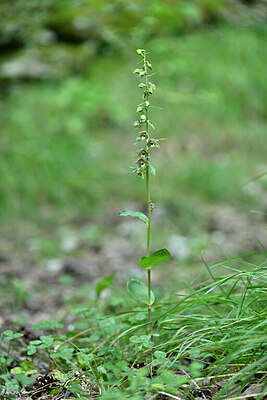 BUITEN BEELD Foto: 447303