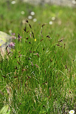 BUITEN BEELD Foto: 447321