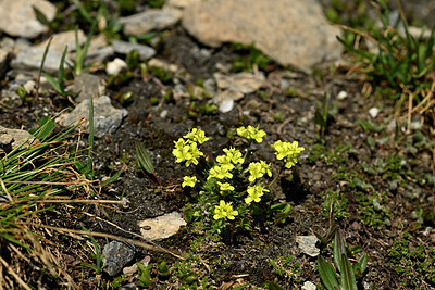 BUITEN BEELD Foto: 447328