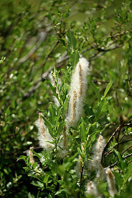 BUITEN BEELD Foto: 447335