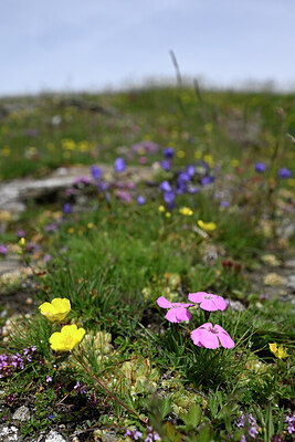 BUITEN BEELD Foto: 447345