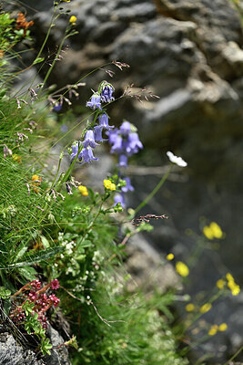 BUITEN BEELD Foto: 447353