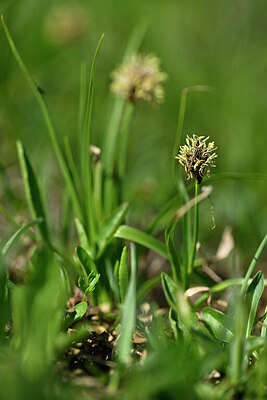 BUITEN BEELD Foto: 447360