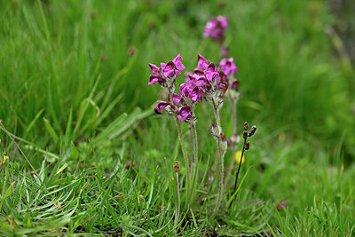 BUITEN BEELD Foto: 447366
