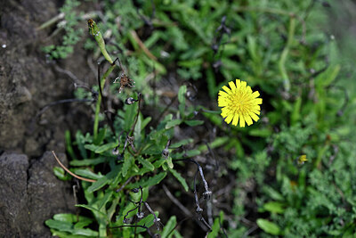 BUITEN BEELD Foto: 447369