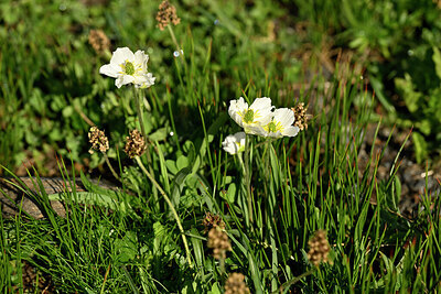 BUITEN BEELD Foto: 447383