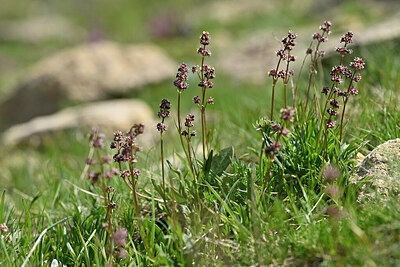 BUITEN BEELD Foto: 447394
