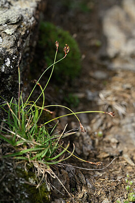 BUITEN BEELD Foto: 447395