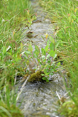 BUITEN BEELD Foto: 447397