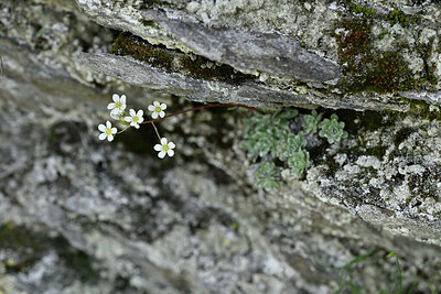 BUITEN BEELD Foto: 447402