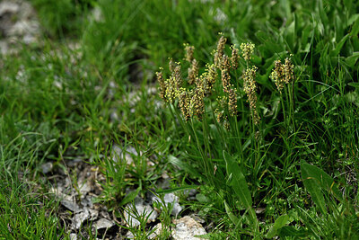 BUITEN BEELD Foto: 447414