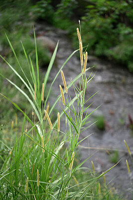 BUITEN BEELD Foto: 447416