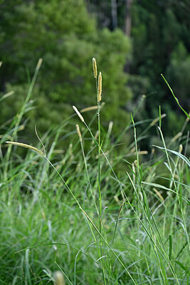 BUITEN BEELD Foto: 447420