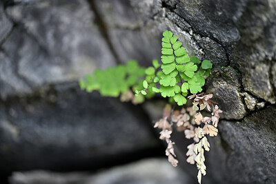 BUITEN BEELD Foto: 447422