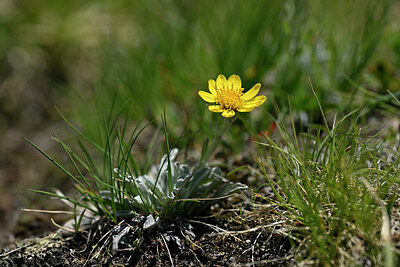 BUITEN BEELD Foto: 447431