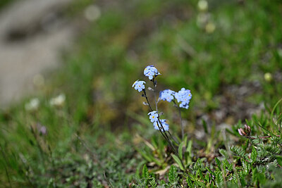 BUITEN BEELD Foto: 447432