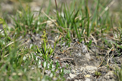 BUITEN BEELD Foto: 447439