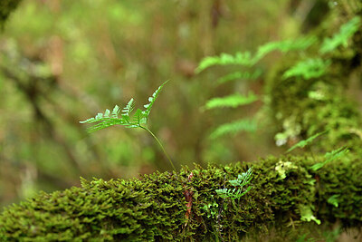 BUITEN BEELD Foto: 447443