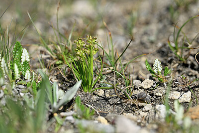 BUITEN BEELD Foto: 447456