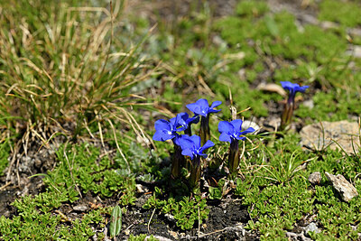 BUITEN BEELD Foto: 447470