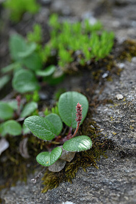 BUITEN BEELD Foto: 447479