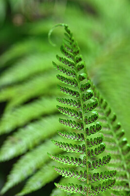 BUITEN BEELD Foto: 447480