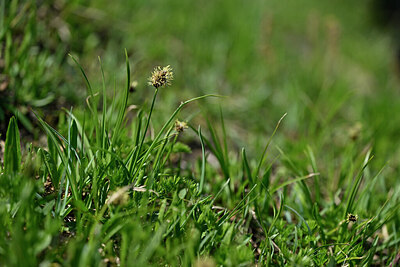 BUITEN BEELD Foto: 447489