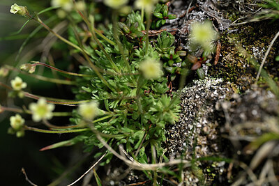 BUITEN BEELD Foto: 447491