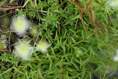 BUITEN BEELD Foto: 447500