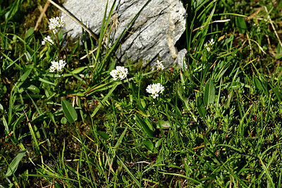 BUITEN BEELD Foto: 447506