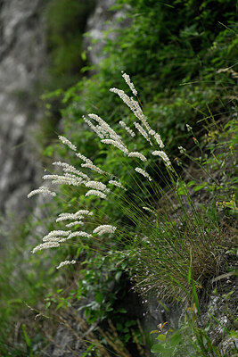 BUITEN BEELD Foto: 447517