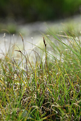 BUITEN BEELD Foto: 447525