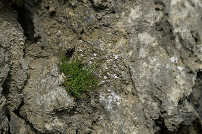 BUITEN BEELD Foto: 447529
