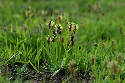 BUITEN BEELD Foto: 447530