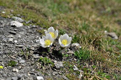 BUITEN BEELD Foto: 447535