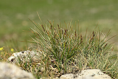 BUITEN BEELD Foto: 447540