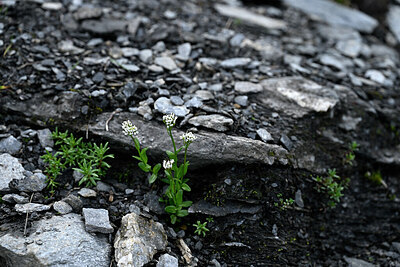BUITEN BEELD Foto: 447553