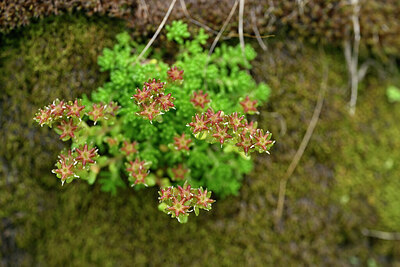 BUITEN BEELD Foto: 447558